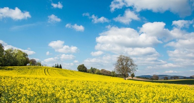 Frühling